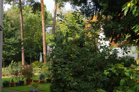 Ferienwohnung Villa Pauline Dresden Garten